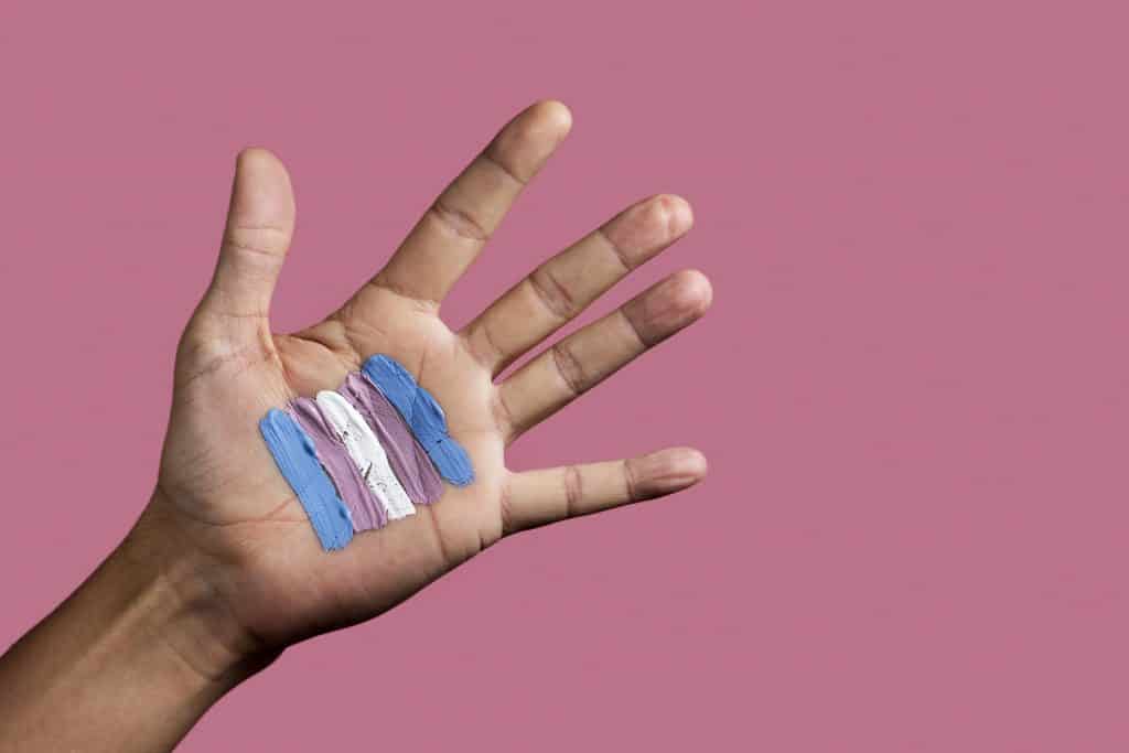 Transgender flag painted on person's hand.