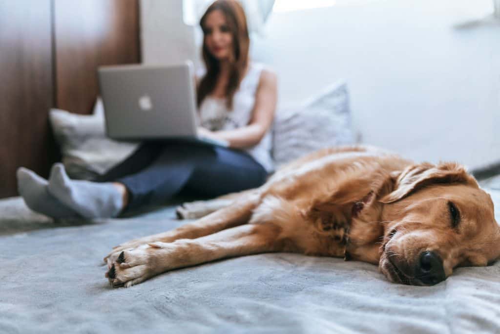 Woman receiving therapy via email.