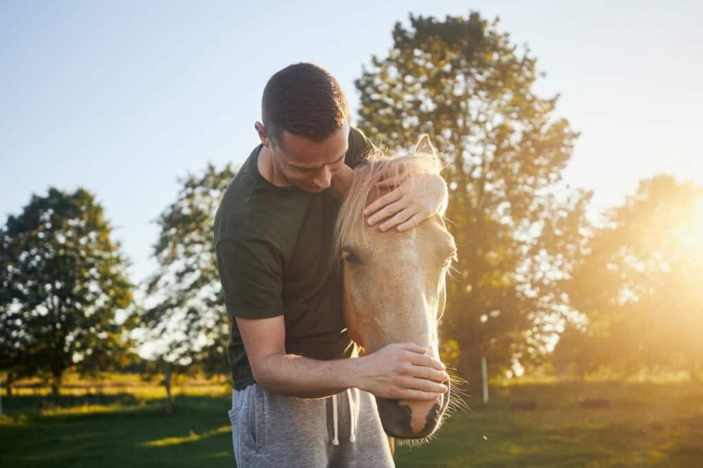 Horse therapy